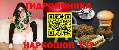 соль ск Ипатово
